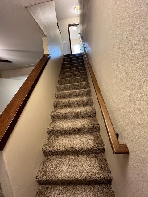 Building Photo - 62 Jaro Wy