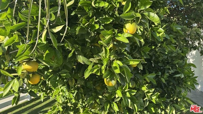 Building Photo - 7516 Oakdale Ave