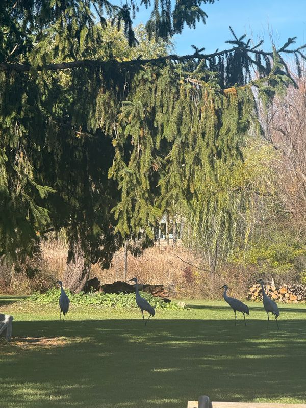 Building Photo - S80W19060 Janesville Rd