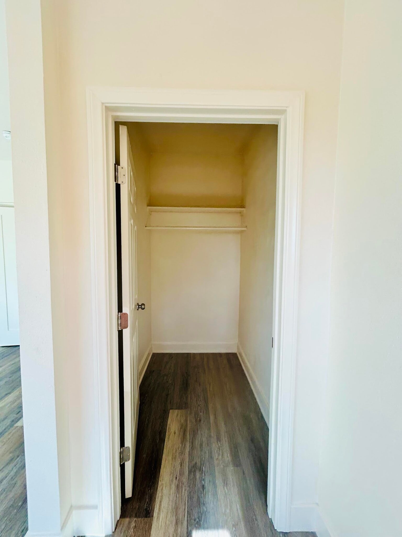 Large Bonus Room Closet for additional organization or storage. - 4043 1/2 W 21st St