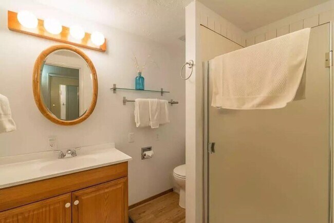 Building Photo - SEASONAL LEASE: "Ski Bird's Paradise"