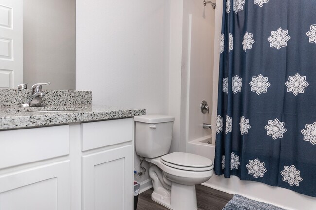 Building Photo - 3431 Phoenix Ct