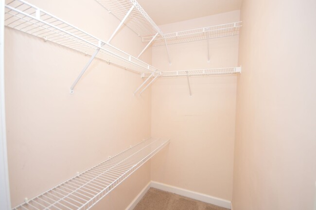 Building Photo - 8328 Plano Ct