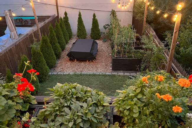 Building Photo - 751 Quincy St