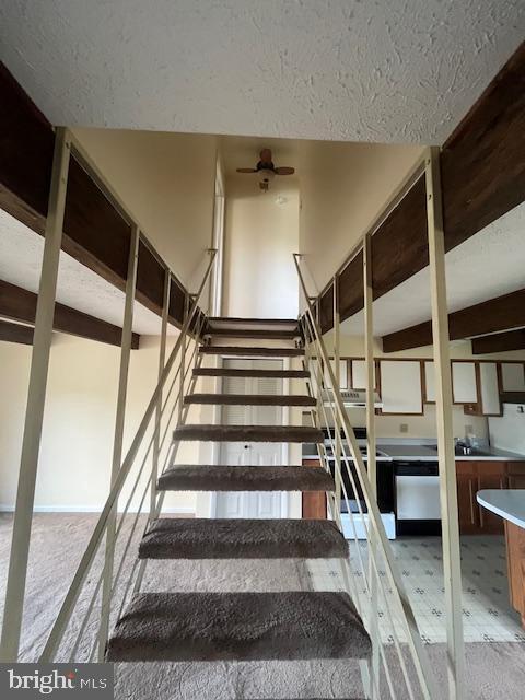 Building Photo - 5403 Oxford Dr