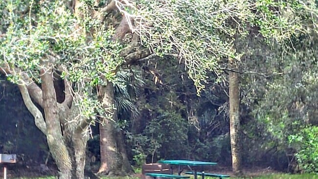 Building Photo - 3130 Millwood Terrace