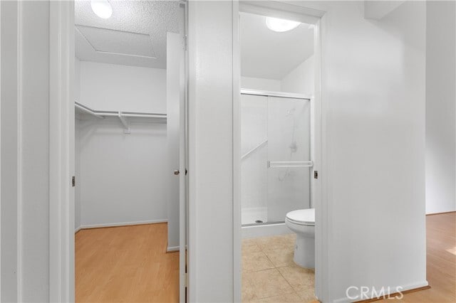 Building Photo - 3555 Bottlebrush St