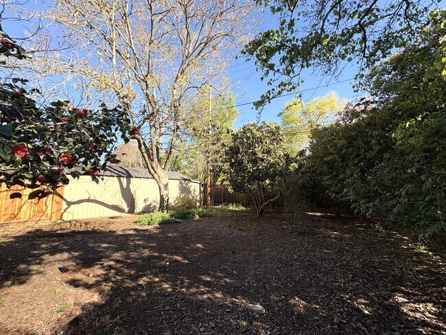 Building Photo - Charming Palo Alto Home with Renovated Kitchen & Spacious Backyard