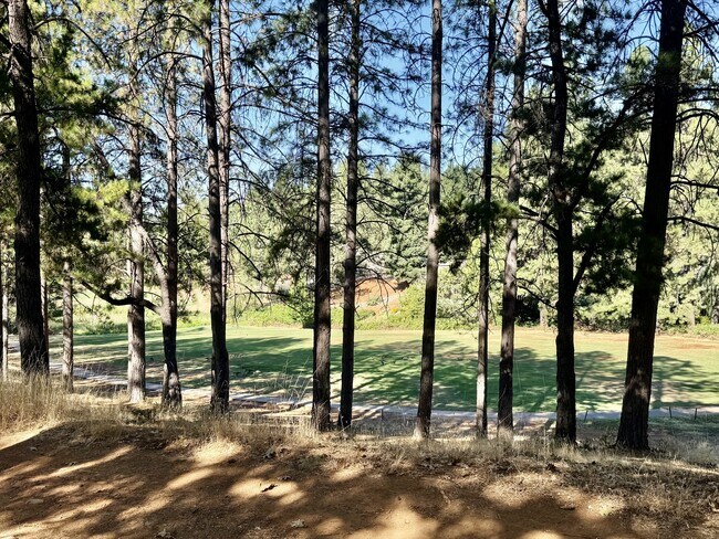 Building Photo - 11438 Timothy Way