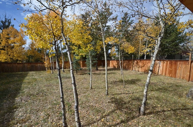 Building Photo - Fairplay home available Now- large fenced yard - Mountain views! Year lease!