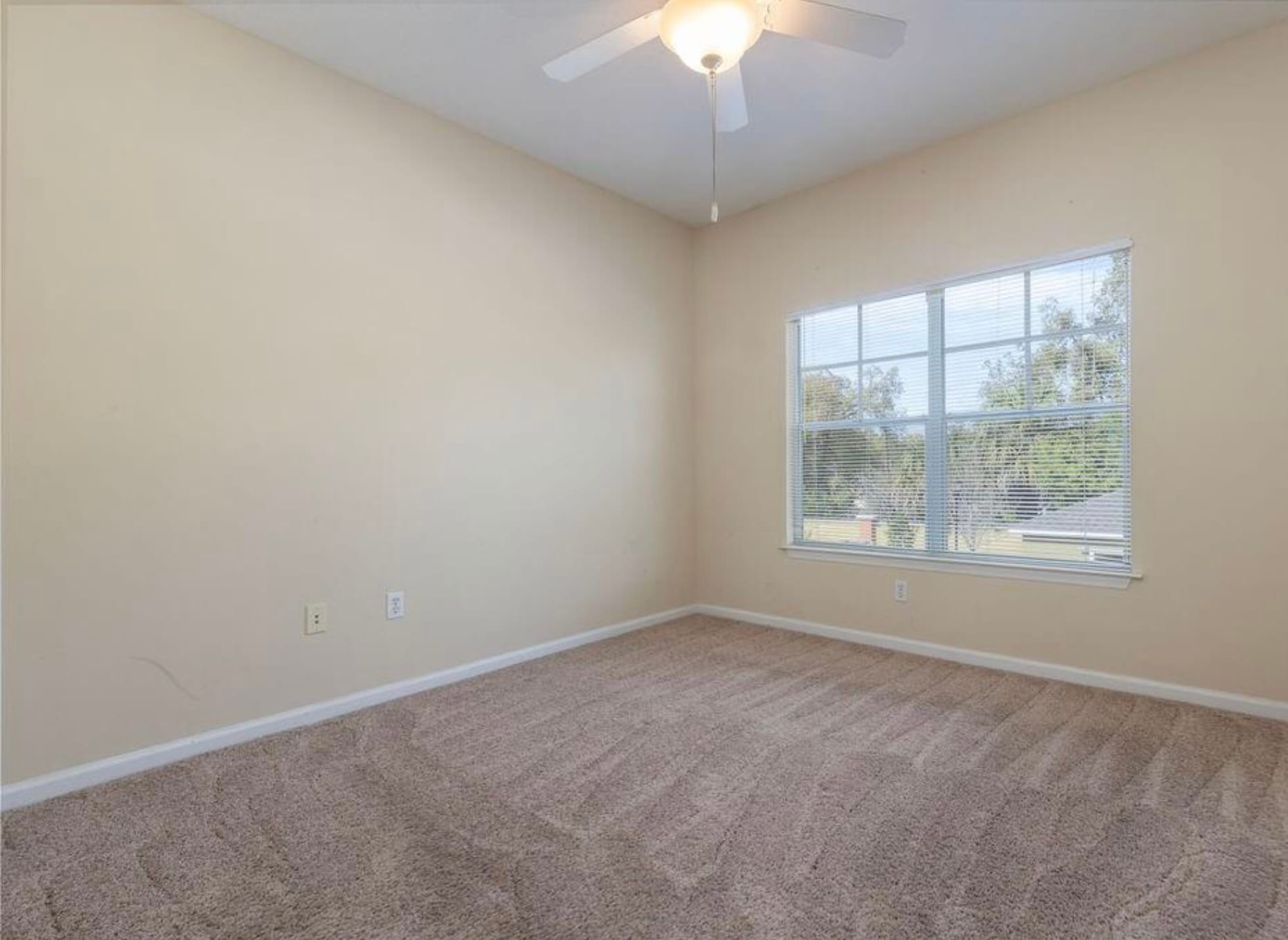Second Bedroom - 4207 S Dale Mabry Hwy