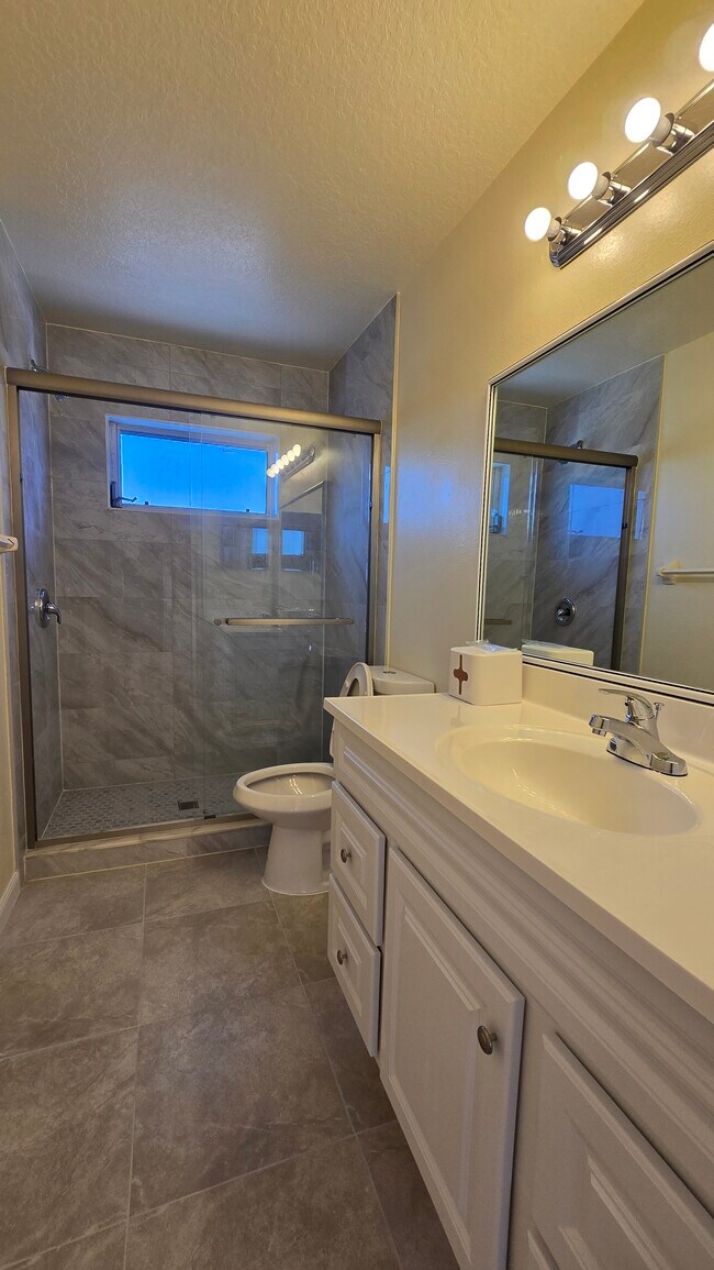 Building Photo - 1241 Vinetree Dr