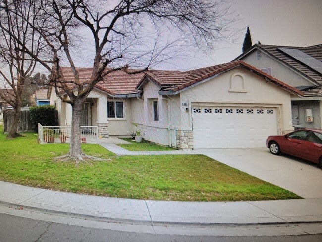 Building Photo - 965 Lusk Dr