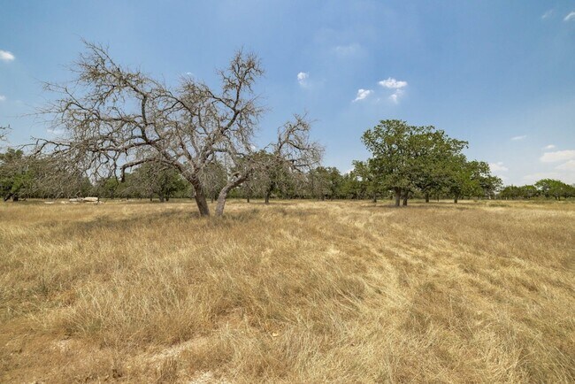 Building Photo - 12380 FM487