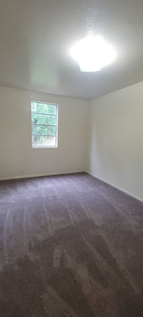 Building Photo - Huge 4 bedroom/1 bath Downstairs unit with...