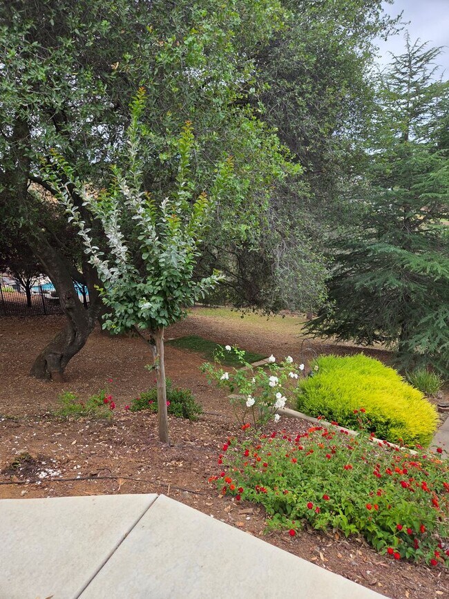 Building Photo - 5 Bdrm, 4 bath home located in Highland View Community off Silva Valley