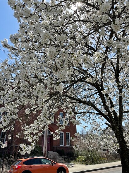 Building Photo - 52 Nash St