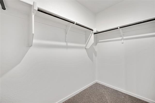 Building Photo - 1211 Canyon Wren Dr
