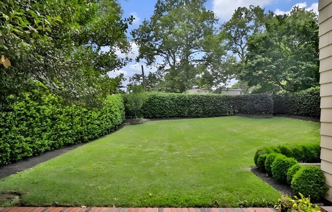 Building Photo - 20 Rosalie Ave