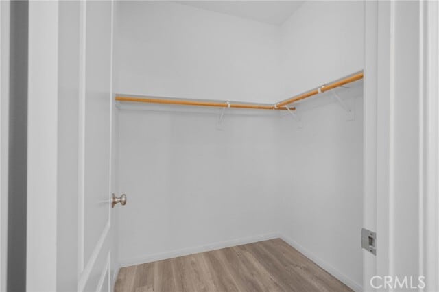 Building Photo - 1263 Strawcross Ln