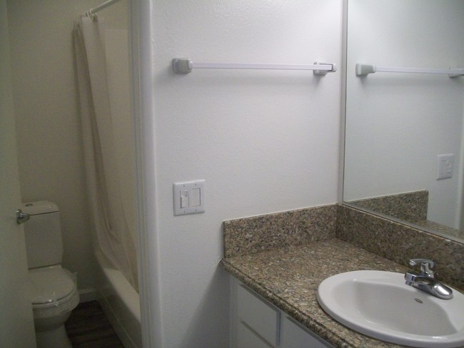 Toilet and Shower are Separate from Vanity - 2445 E Del Mar Blvd