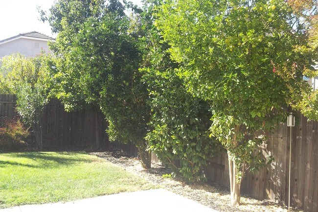 Building Photo - Crocker Ranch gated community