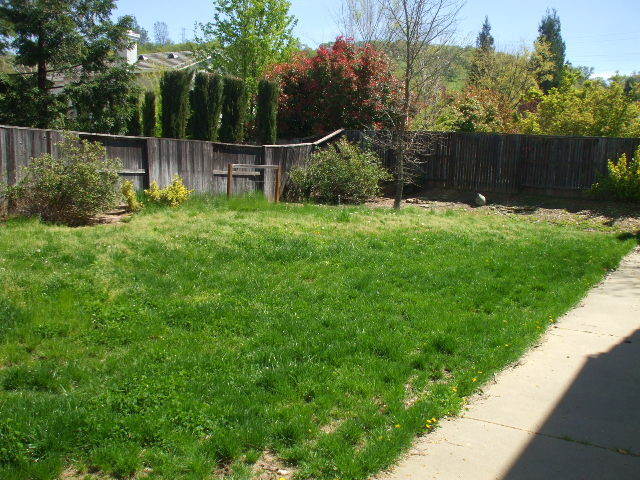 Building Photo - Fabulous Home on Large Corner Lot
