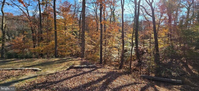 Building Photo - 7613 Locust Ln