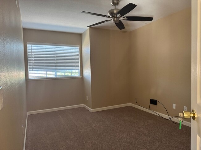Building Photo - New carpet and paint!