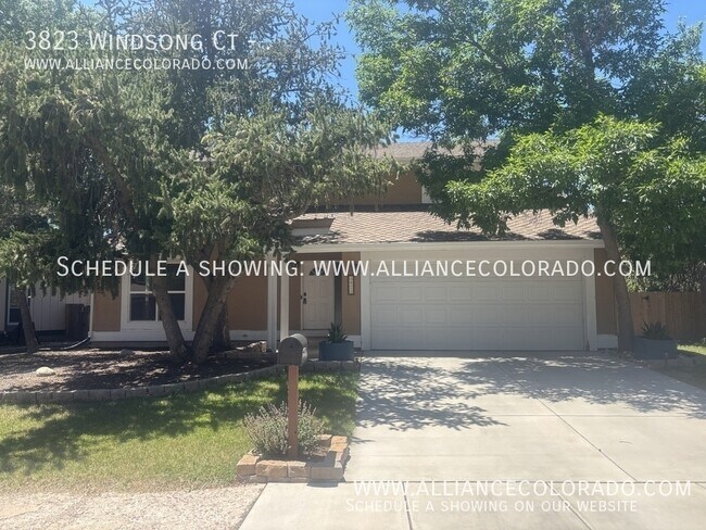 Primary Photo - 3823 Windsong Ct