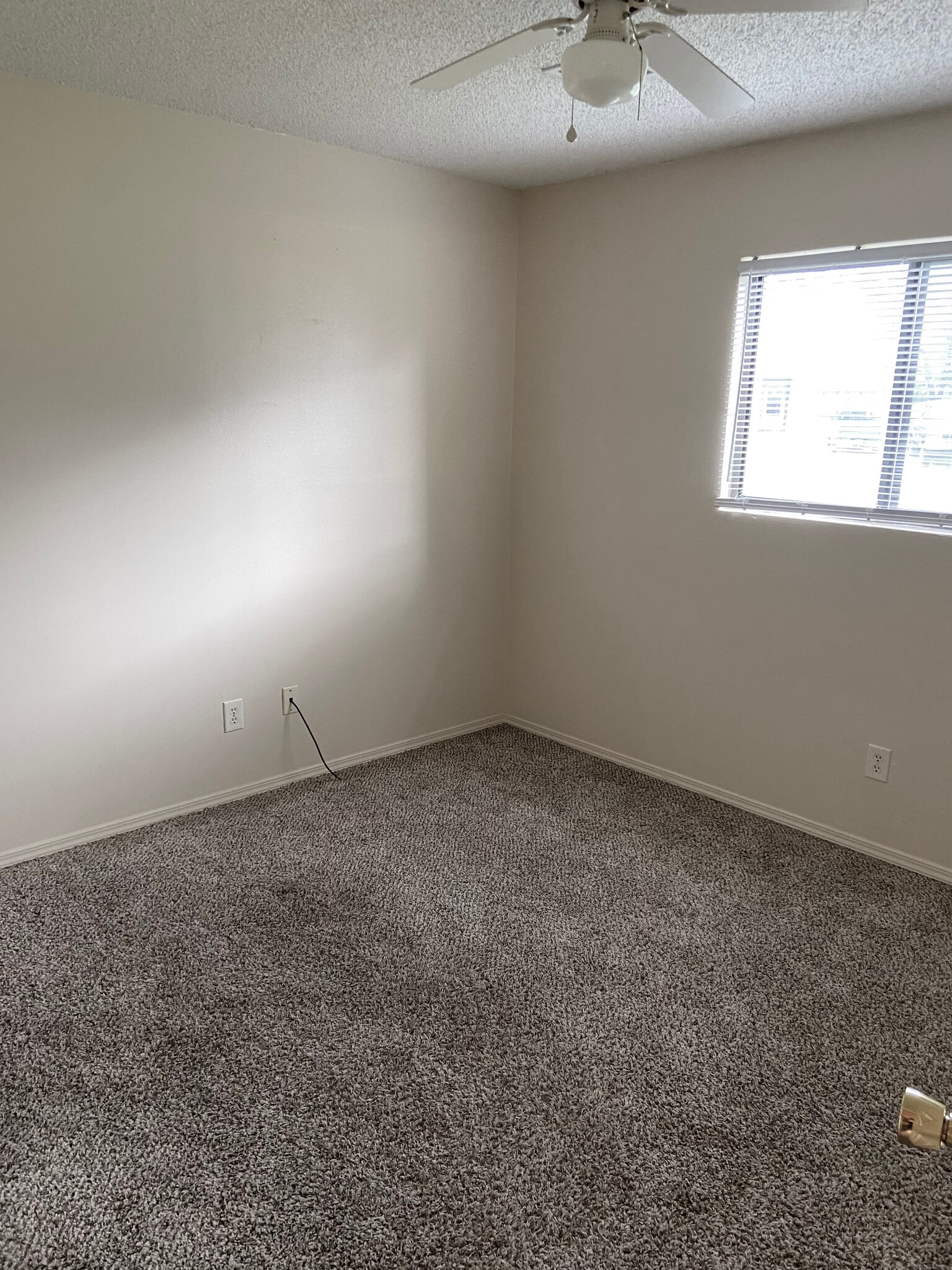 Building Photo - 503 E 5th Plz