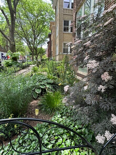 landscaped front garden - 1432 W Jonquil Terrace