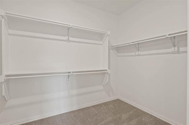 Building Photo - 3513 Twin Pond Trl