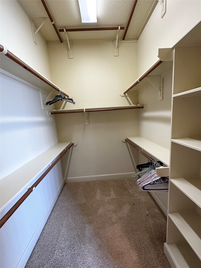 Building Photo - 617 Constellation Blvd