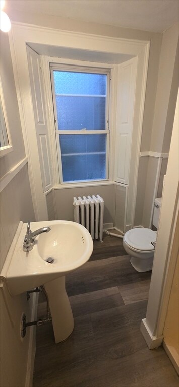 Building Photo - 8 Herbert St