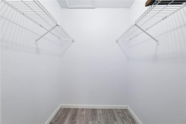 Building Photo - 12482 Abrams Rd