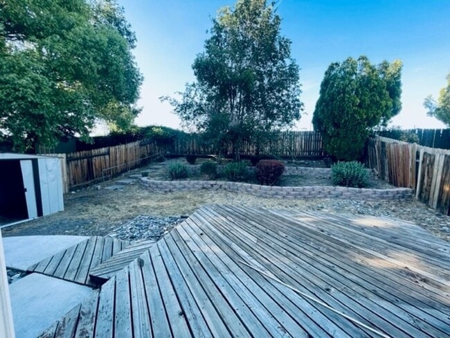 Building Photo - 4205 Perro Ln