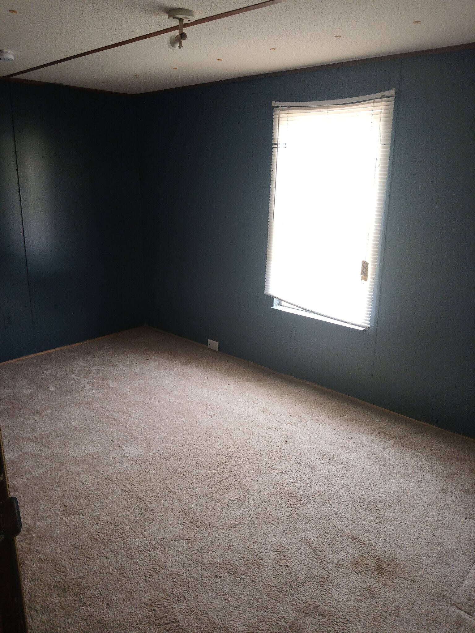Building Photo - 300 Country Springs Dr