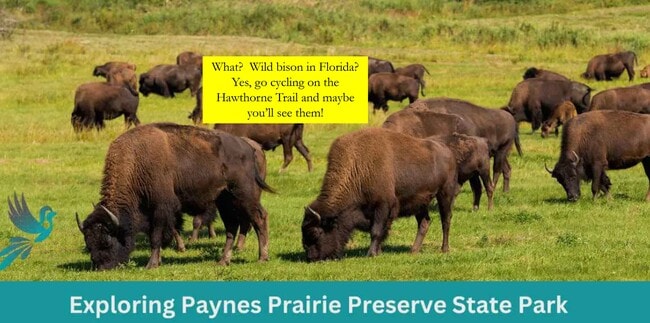 Building Photo - 835 SW 9th St