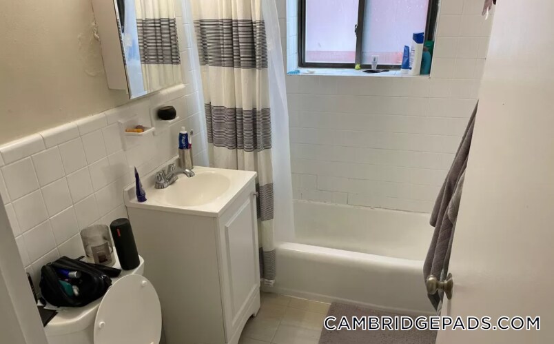 Building Photo - 9 Chester St