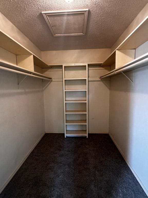 Building Photo - 2704 Ashley Ct