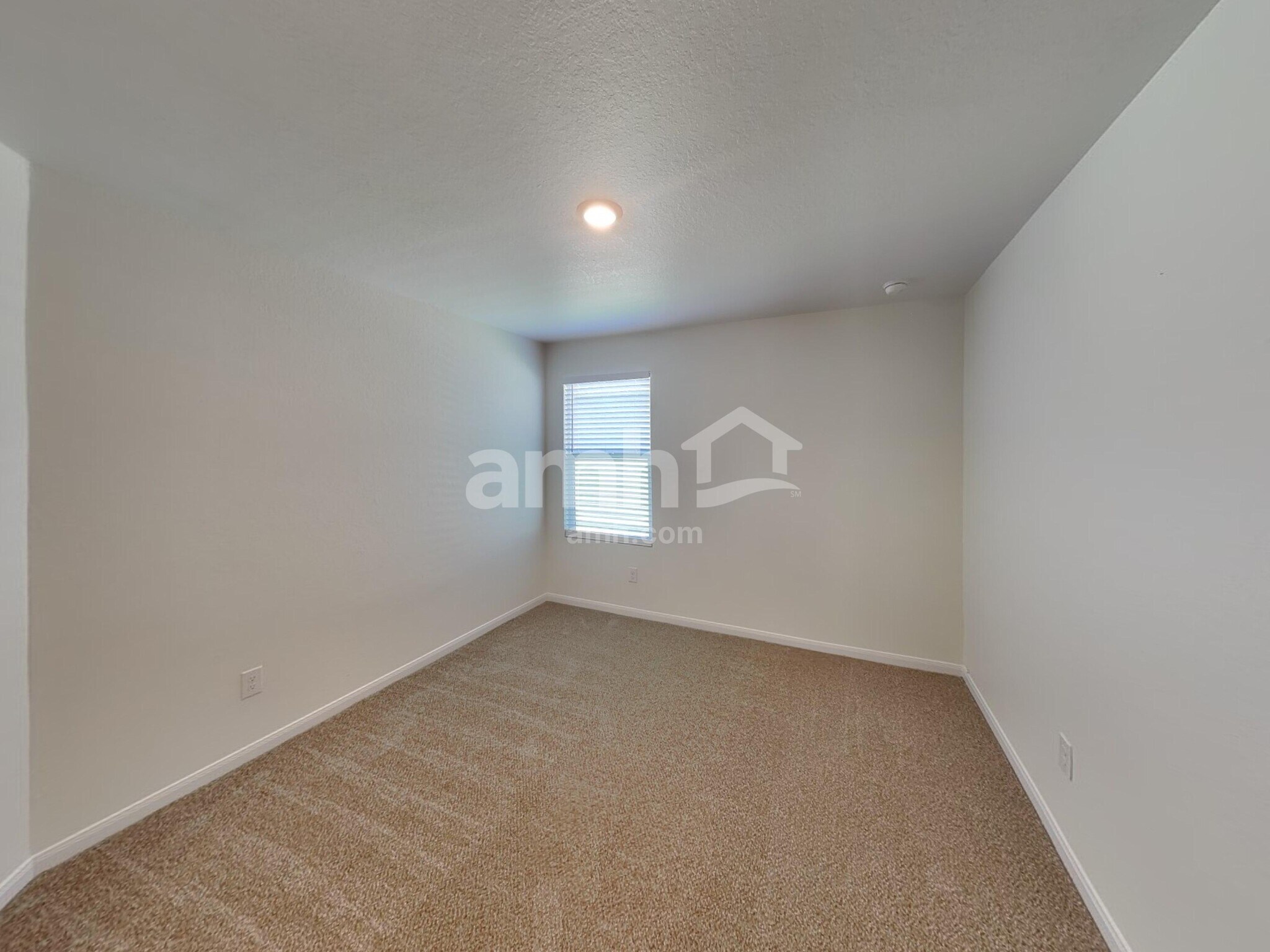 Building Photo - 2708 Iberia Ct