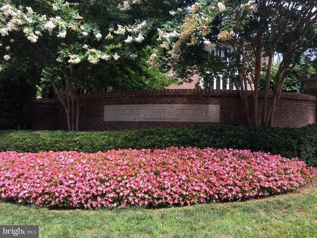 Building Photo - 10706 Kings Riding Way