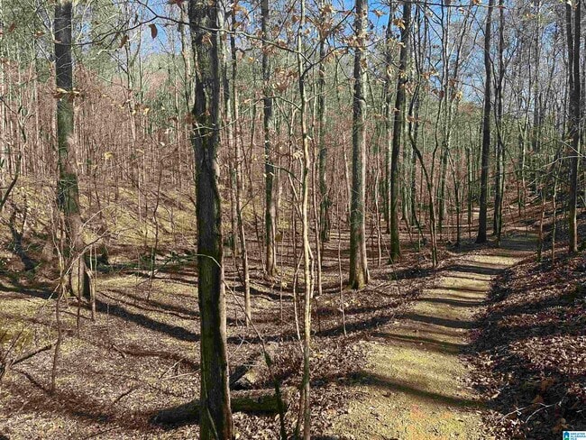 Building Photo - 1004 Unali Ln