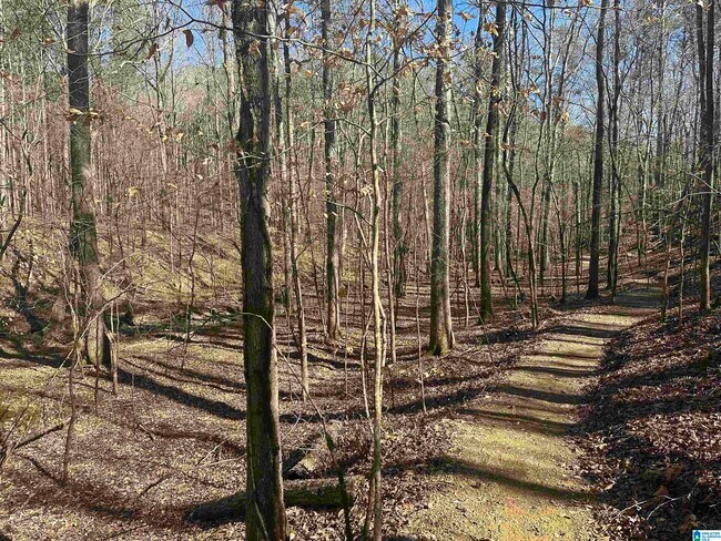 Building Photo - 1009 Grand River Blvd W