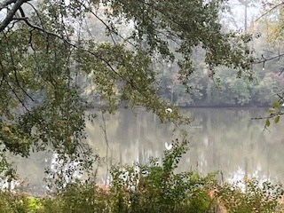 Building Photo - 629 Forest Lake Dr N