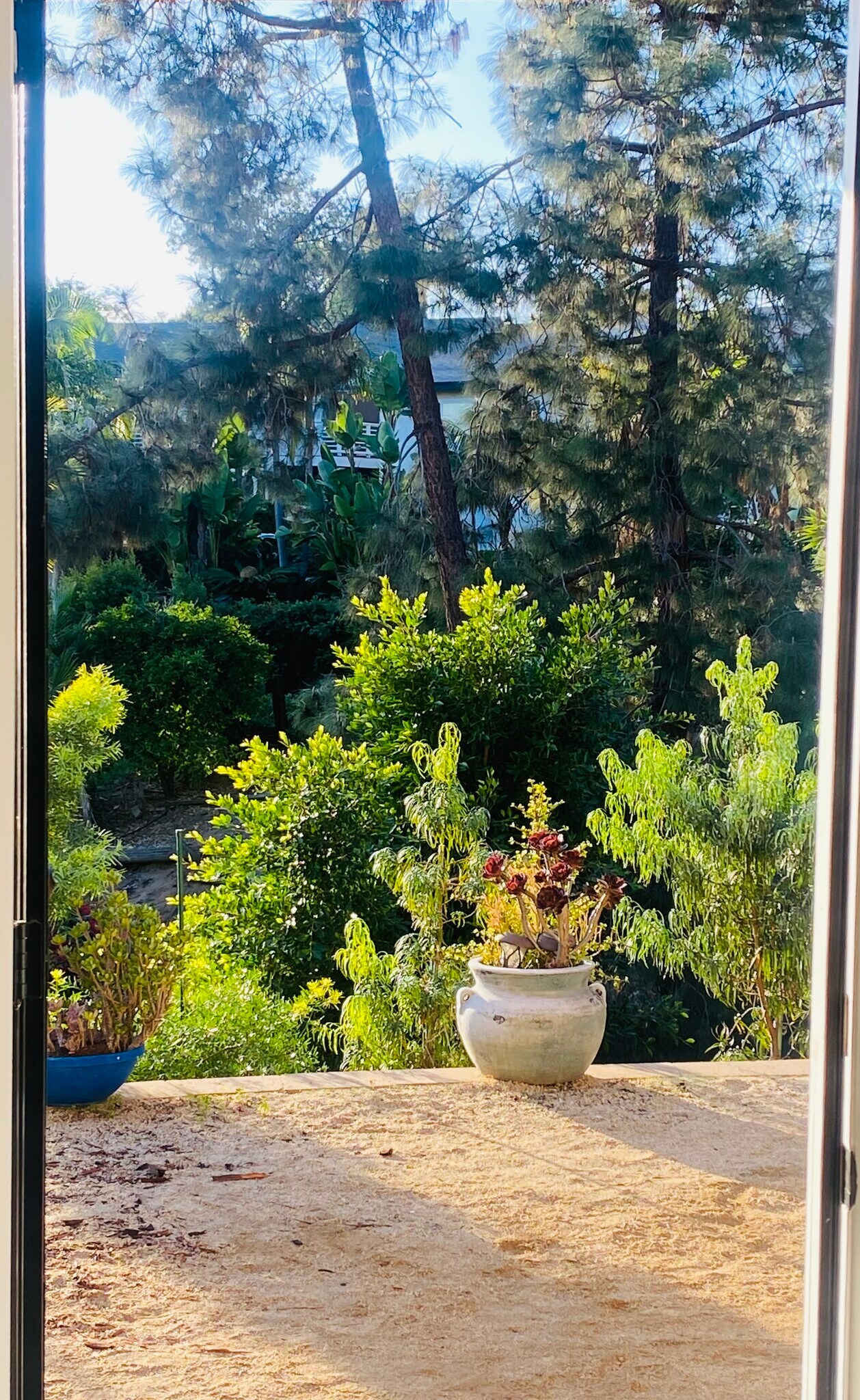 Building Photo - 1038 Marbo Ter