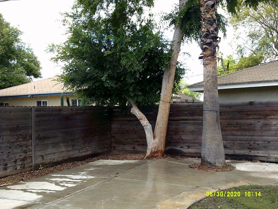 Building Photo - 5469 Palm Ave
