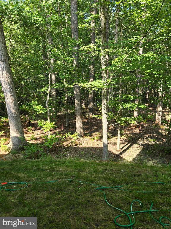 Building Photo - 803 Blue Wing Ct