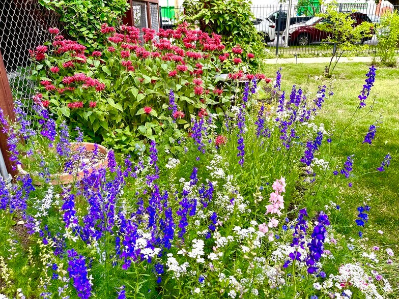 Building Photo - 5941 W Corcoran Plz